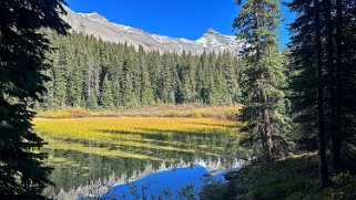 Wilcox Pass Trail - Parc National de Jasper Canada 2023